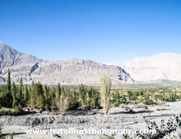 Lhasthang Hotel Nubra View From Hotel