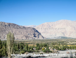 Lhasthang Hotel Nubra View