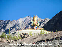 Nubra Lhasthang Hotel View From Hotel