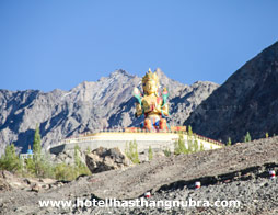 Nubra Valley Hotel Lhasthang View From Room